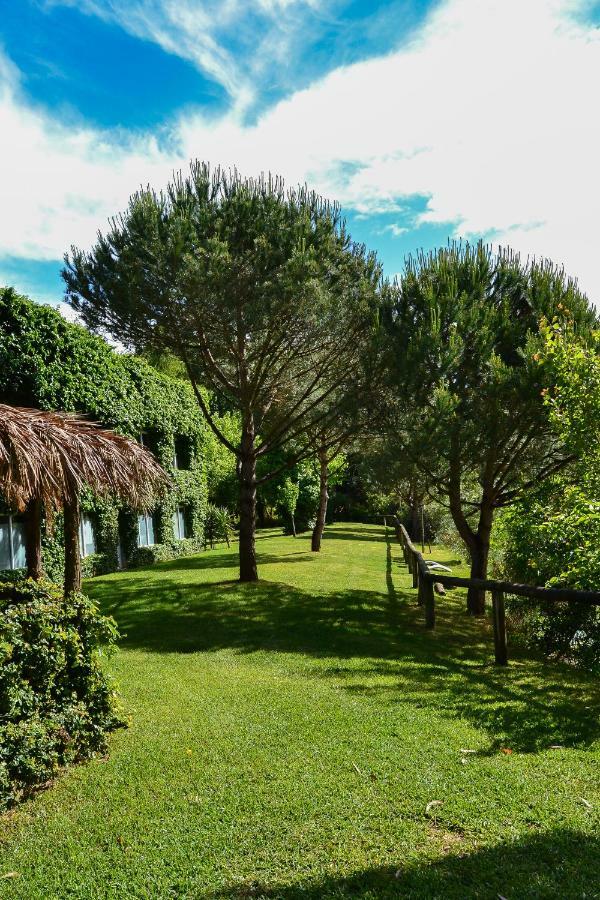 Quinta Da Mafalda Mira  Exterior photo